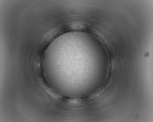 X0000092000567200709201511