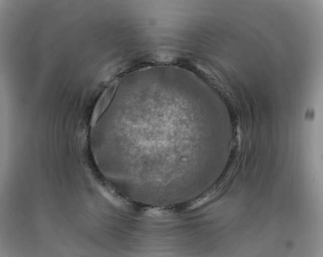 X0000092000568200709201511