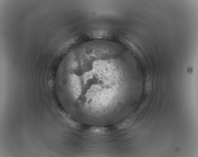 X0000092000569200709201511