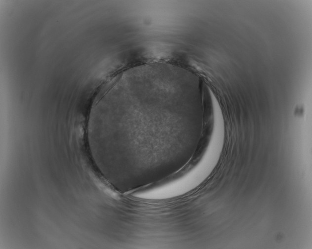 X0000092000570200709201511