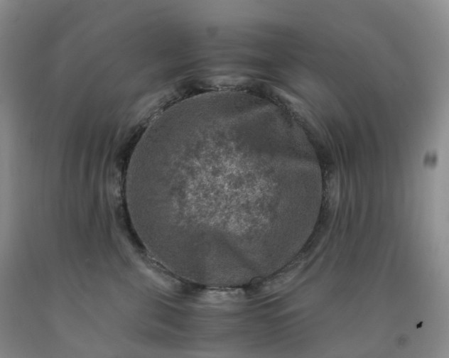 X0000092000571200709201511