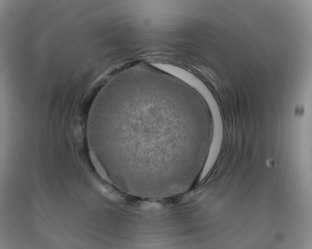 X0000092000572200709201511