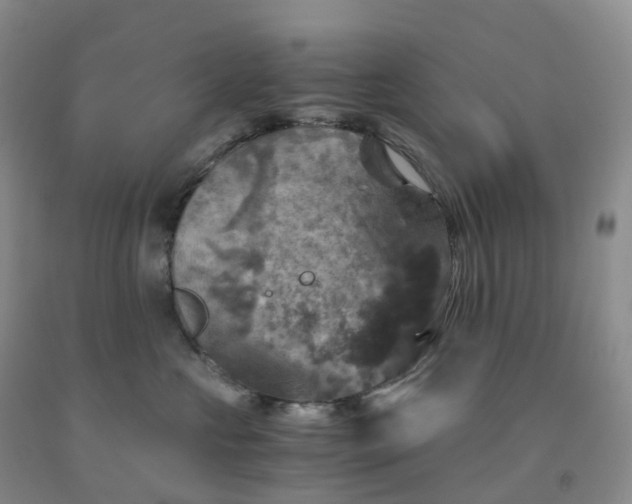 X0000092000573200709201511