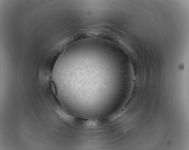 X0000092000574200709201511