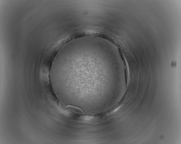 X0000092000575200709201511