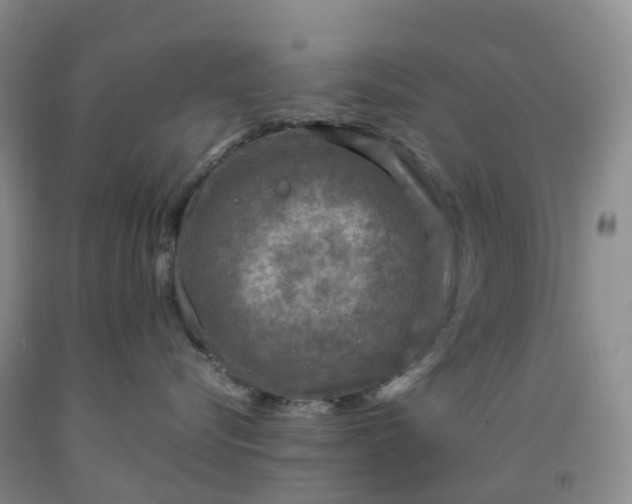 X0000092000576200709201511