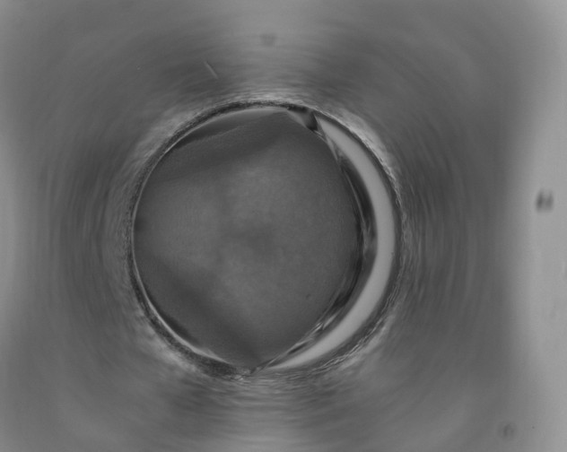 X0000092000577200709201511