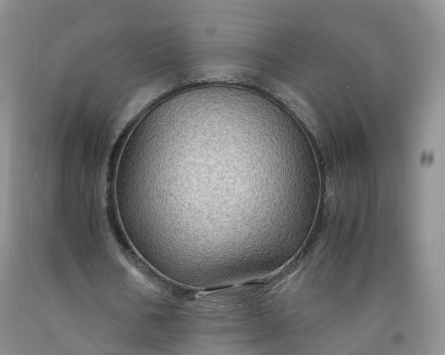 X0000092000578200709201511