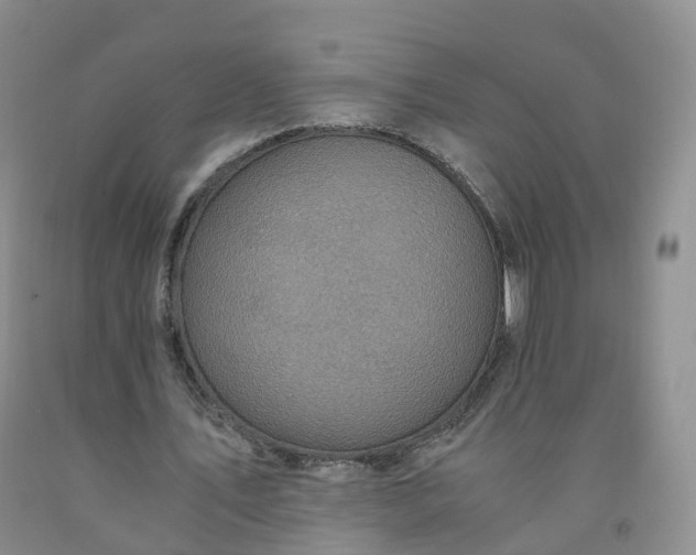 X0000092000579200709201511