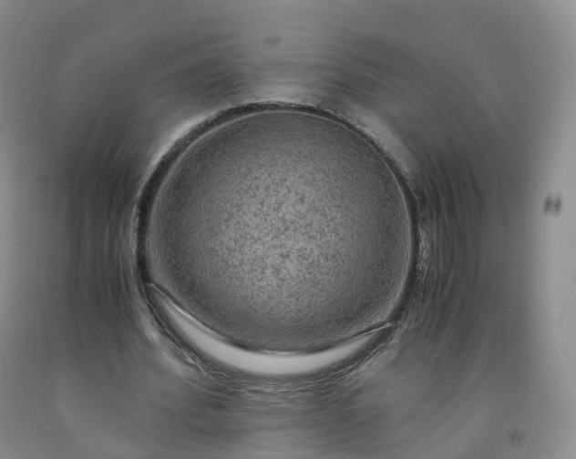 X0000092000580200709201511