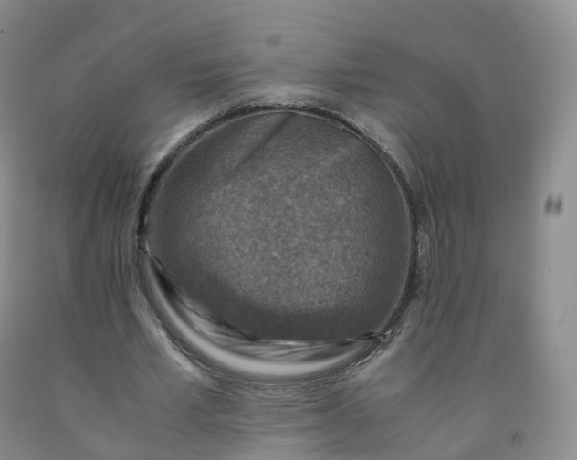 X0000092000581200709201511