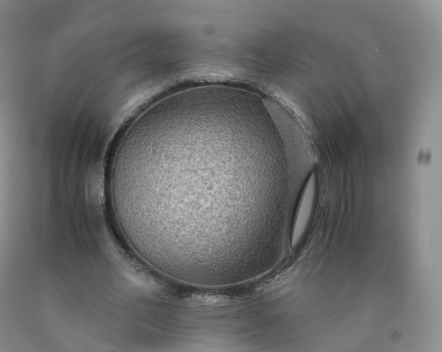 X0000092000582200709201511