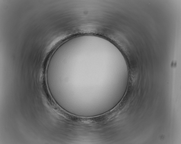 X0000092000583200709201511