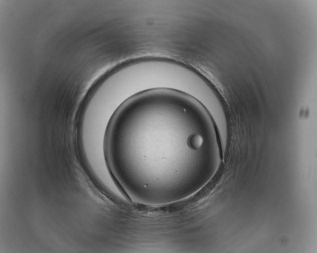 X0000092000584200709201511