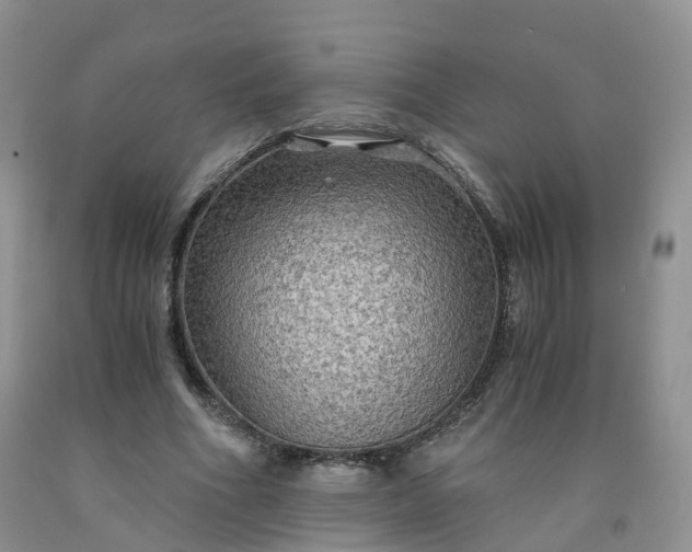 X0000092000586200709201511