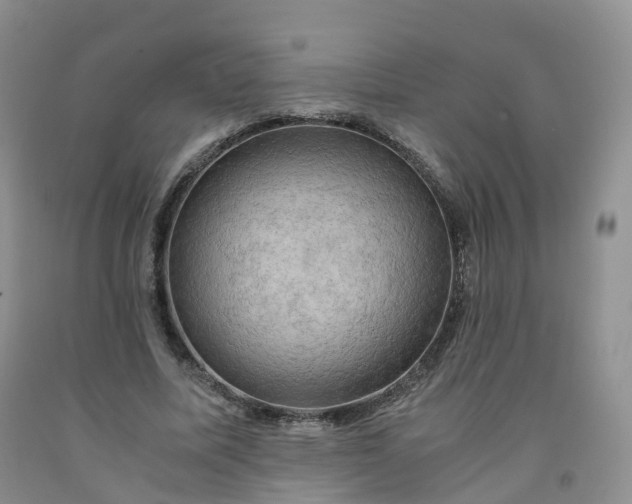 X0000092000587200709201511