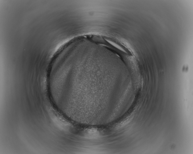 X0000092000588200709201511