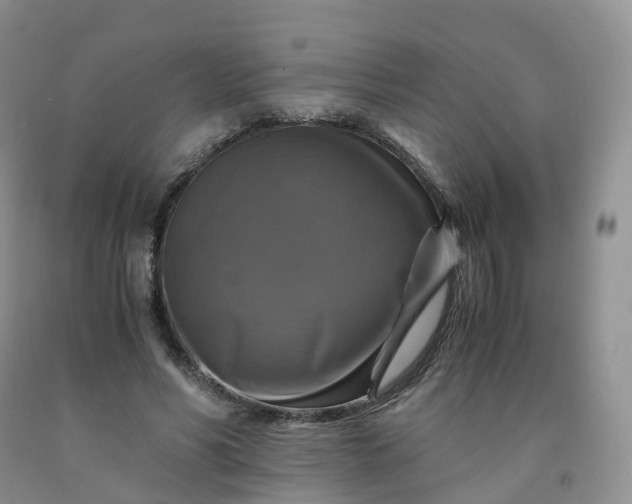 X0000092000590200709201511