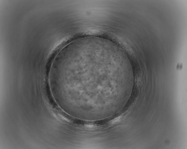 X0000092000591200709201511