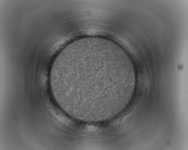 X0000092000592200709201510