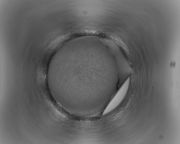 X0000092000593200709201510