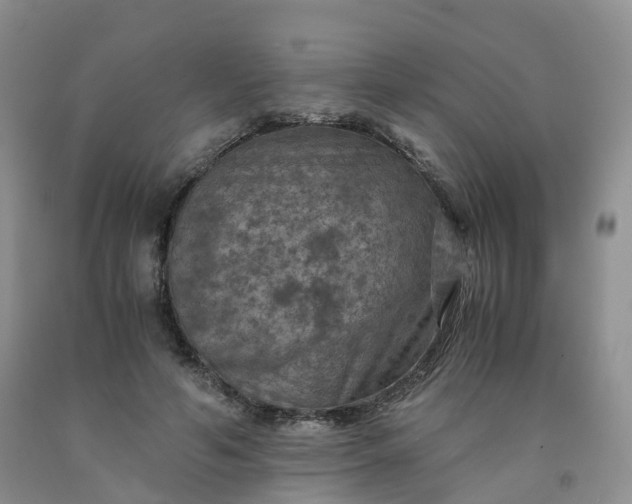 X0000092000594200709201510