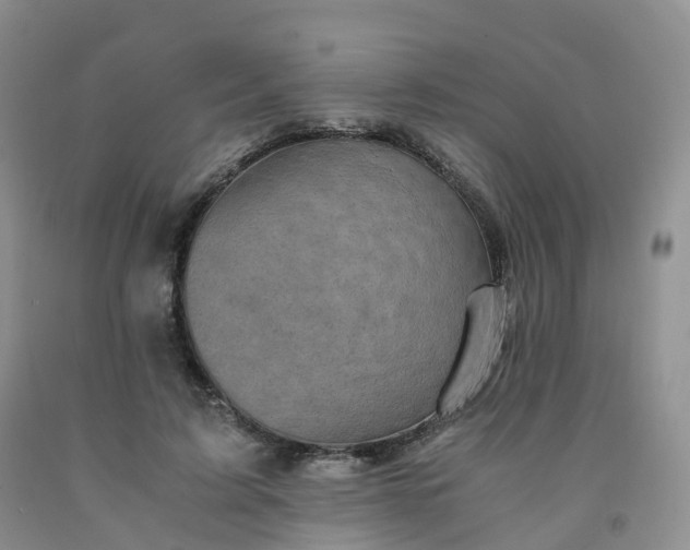 X0000092000595200709201510