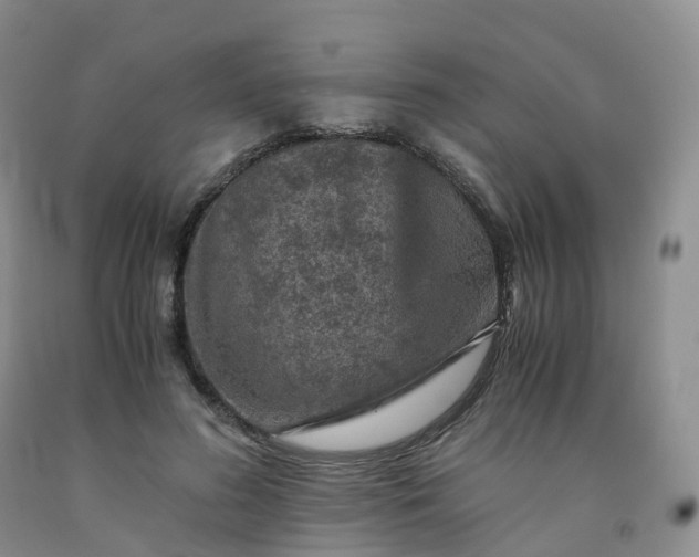 X0000092000596200709201510