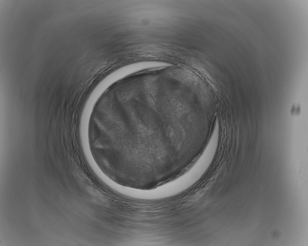 X0000092000597200709201510