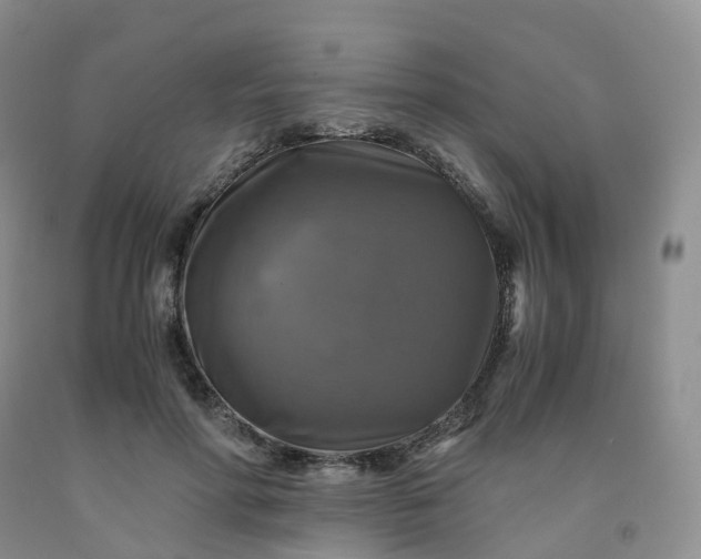 X0000092000598200709201510