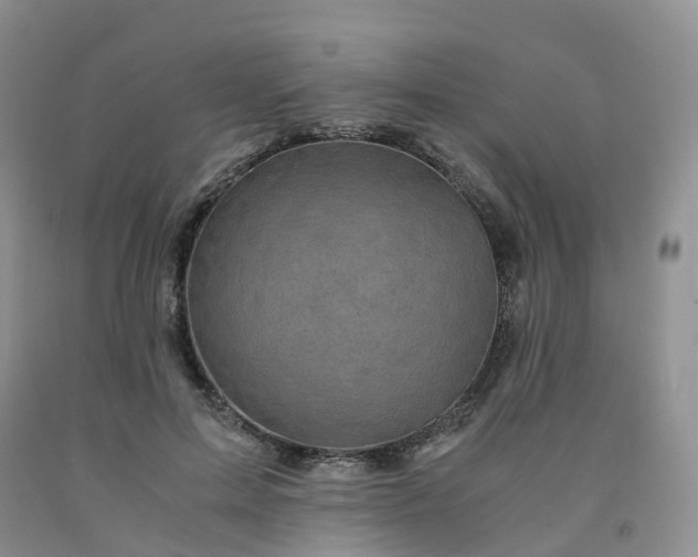 X0000092000599200709201510