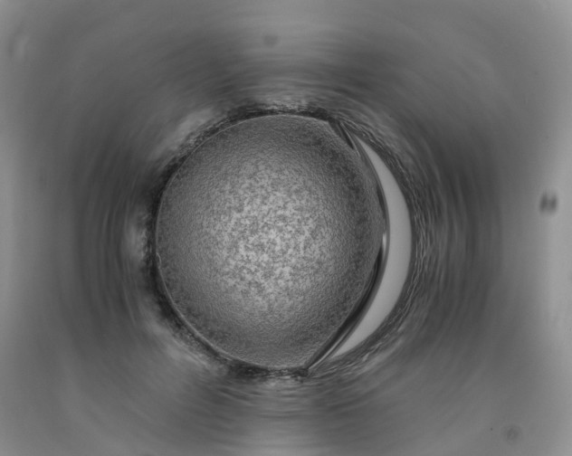 X0000092000600200709201510