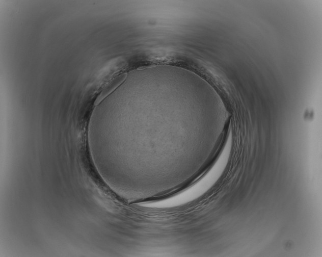 X0000092000601200709201510