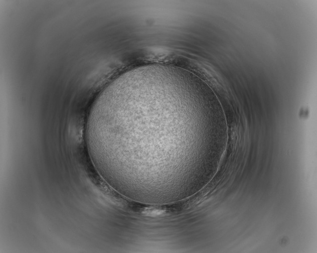 X0000092000602200709201510