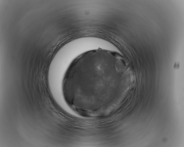 X0000092000604200709201510