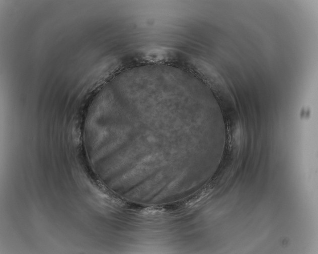 X0000092000606200709201510