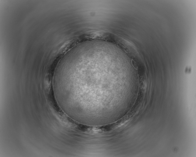 X0000092000607200709201510