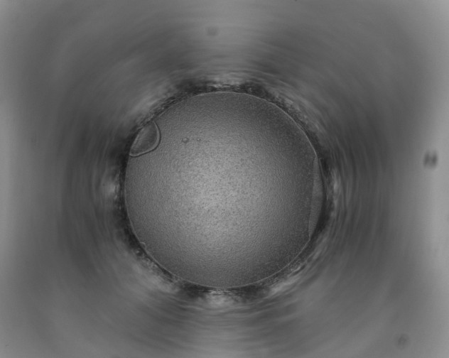 X0000092000608200709201510