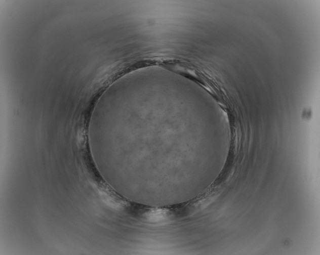 X0000092000609200709201510