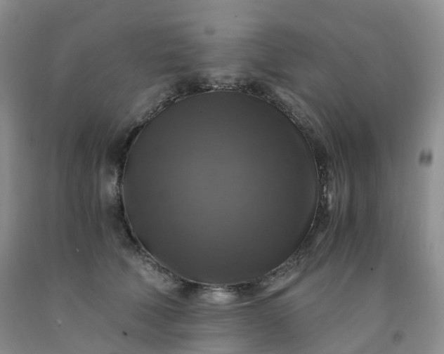 X0000092000610200709201510