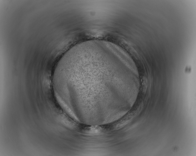 X0000092000612200709201510