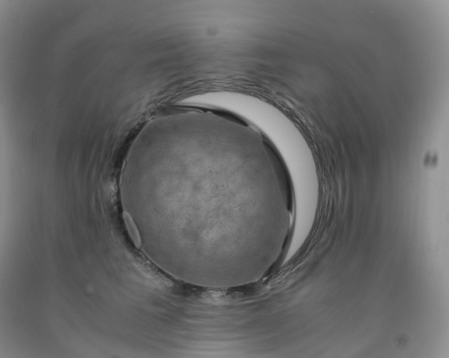 X0000092000613200709201510