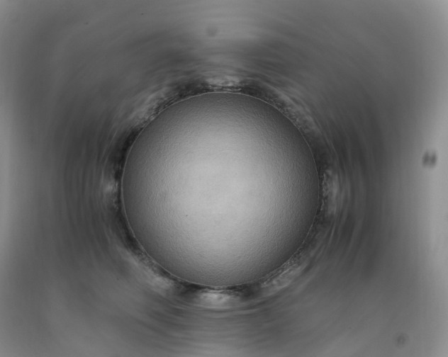 X0000092000614200709201510