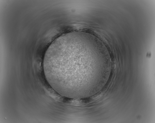 X0000092000615200709201510