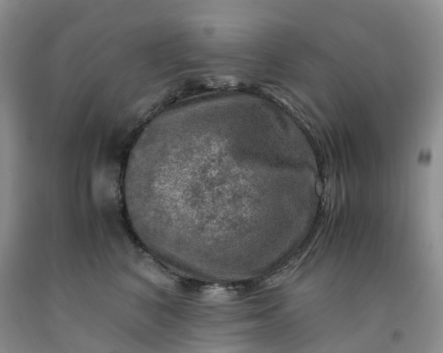 X0000092000616200709201510