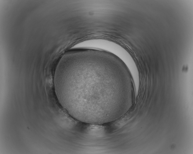 X0000092000617200709201510