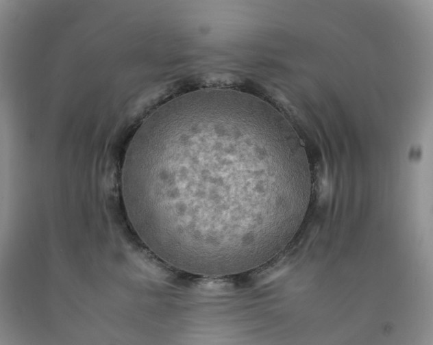 X0000092000619200709201510