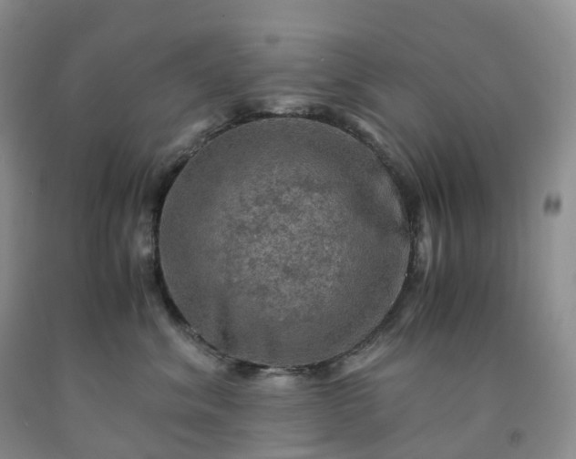 X0000092000620200709201510