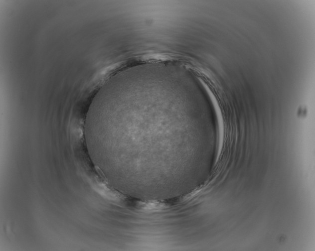 X0000092000621200709201510