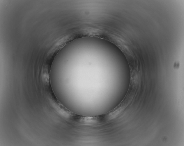 X0000092000622200709201510